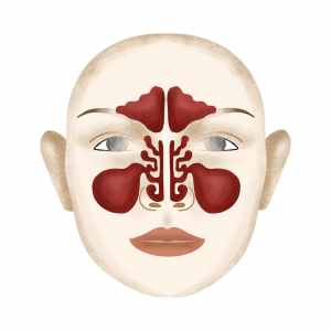 Sinus home remedies tamil